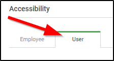 Screenshot of the User tab under Accessibility
